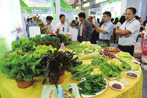 我市參加第十九屆中國綠博會收獲豐碩 初級農產品綻放光彩